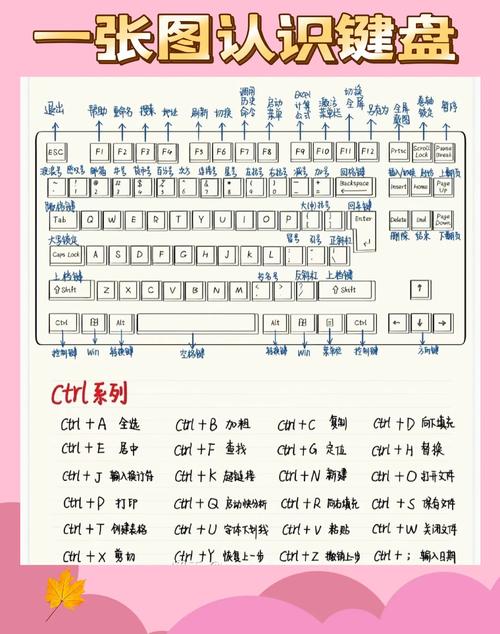 机械键盘数字区怎么选？3分钟看懂87键与全键布局-5
