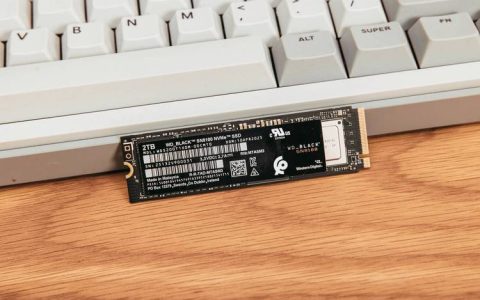 WD Black SN8100评测：性能与性价比到底值不值？