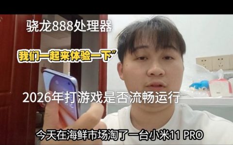 小米数字系列游戏实测：帧率与发热表现究竟如何？