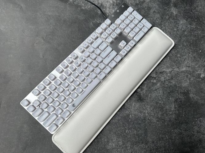 机械键盘打字不累手的秘密:这3个关键点你必须知道-4 机械键盘打字不累手的秘密:这3个关键点你必须知道-4