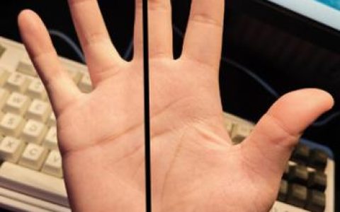 手长17cm怎么选鼠标？3分钟看懂手长与握持匹配