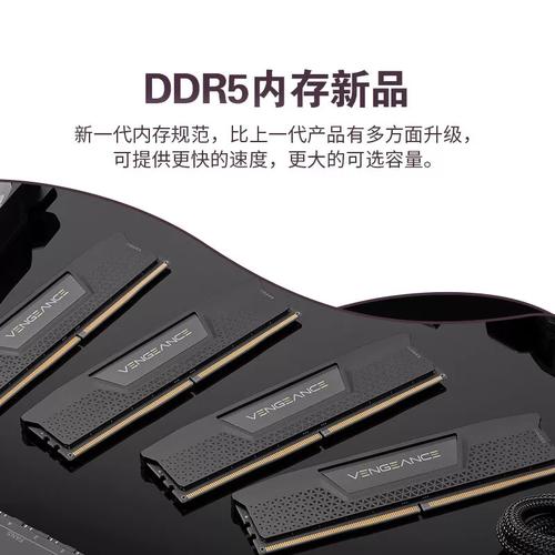 海盗船复仇者内存深度评测：性能与颜值到底值不值？