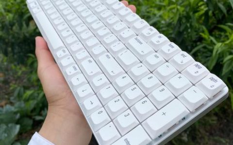 白色机械键盘怎么选？5分钟看懂避坑指南