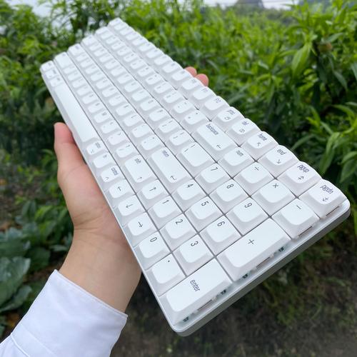 白色机械键盘怎么选?5分钟看懂避坑指南-1 白色机械键盘怎么选?5分钟看懂避坑指南-1