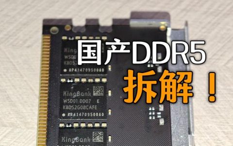 国产内存怎么选？2026年最新选购避坑指南