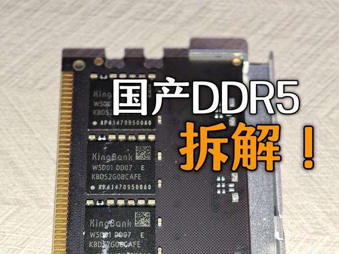 国产内存怎么选？2026年最新选购避坑指南