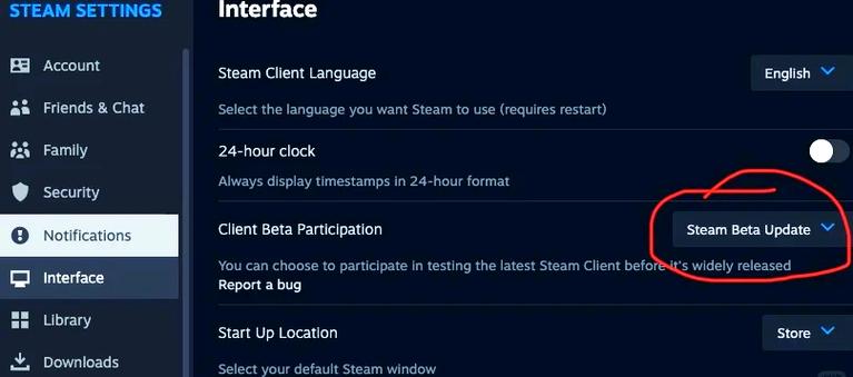 Steam Link 串流设置教程：三步让手机畅玩3A大作-5