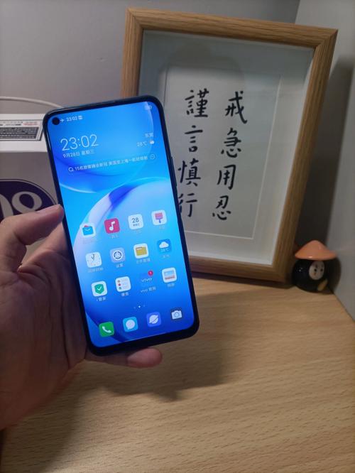 vivo Y70s - 双模5G智能手机_百科资料-3