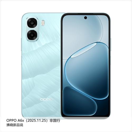 OPPO A6x - 高清大屏智能手机_资料手册-1