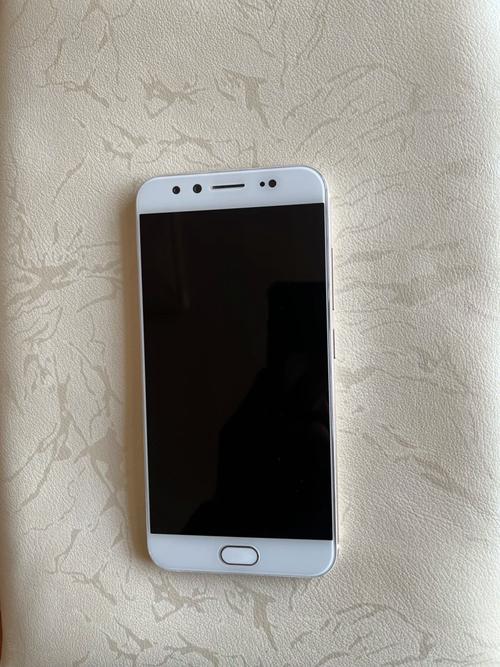 vivo X9 - 前置双摄柔光自拍手机_百科资料-1