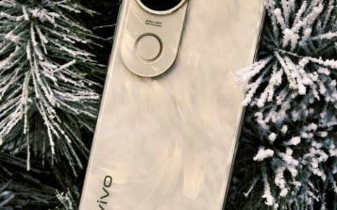 vivo V20SE – 高清自拍中端手机_百科资料