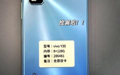vivo Y30Standard – 长续航大屏智能手机_百科资料