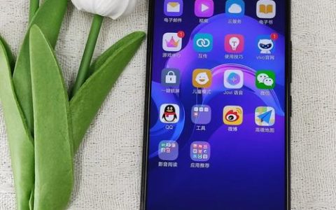 vivo X21UD – 屏下指纹全面屏手机_百科资料