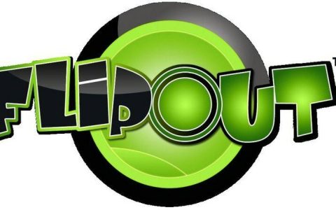 FlipOut – 便携折叠手机_百科资料