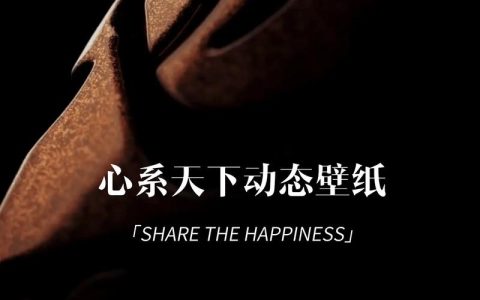 心系天下 W – 超长续航旗舰手机_资料手册
