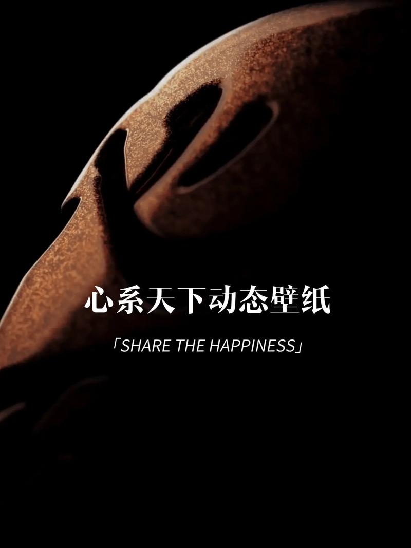 心系天下 W – 超长续航旗舰手机_资料手册