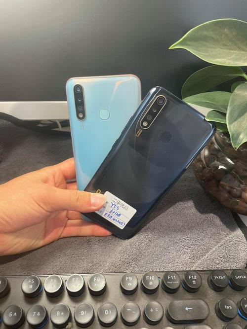 vivo Y5s - 长续航智能拍照手机_百科资料-3