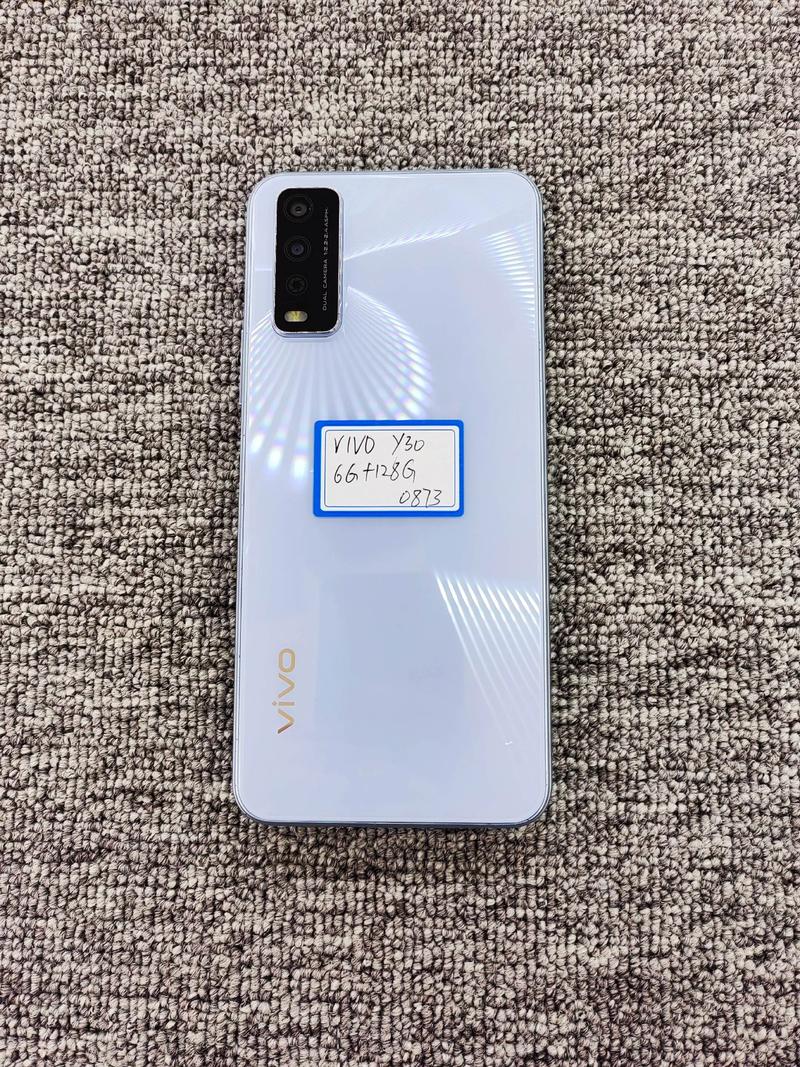 vivo Y30Standard - 长续航大屏智能手机_百科资料-2