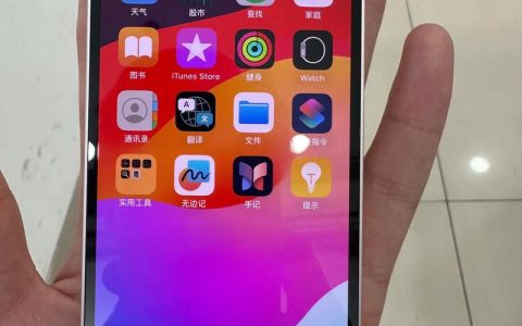 iPhone 13 mini – 小屏旗舰智能手机_资料手册