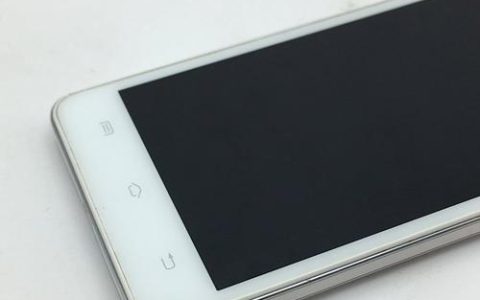 vivo Y312021 – 长续航大屏智能手机_资料手册