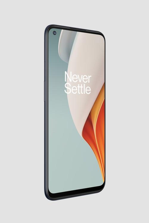OnePlus Nord N100 - 大电池入门手机_百科资料-3