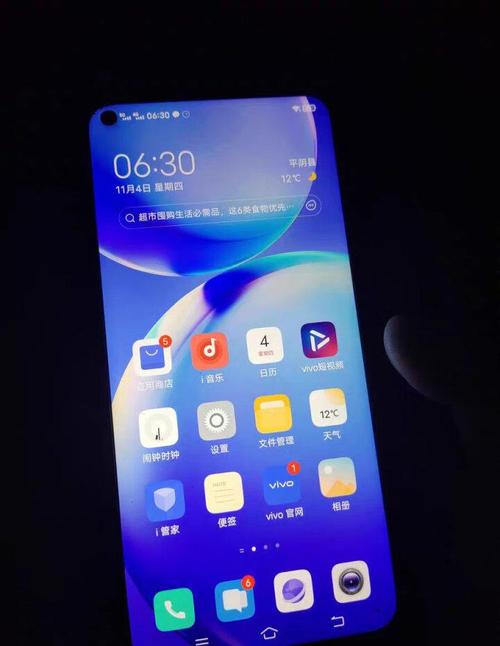 vivo Y70t - 长续航4G智能手机_资料大全-5
