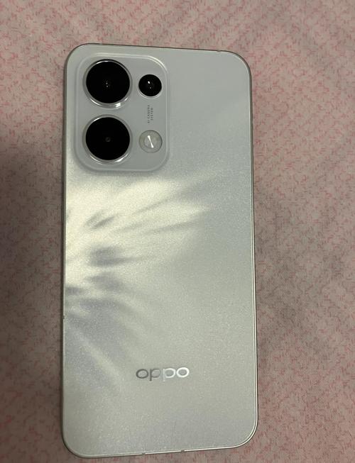 OPPO Reno13 F - 超清影像5G手机_百科资料-5