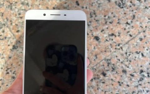 OPPO R9s Plus – 大屏拍照手机_百科资料