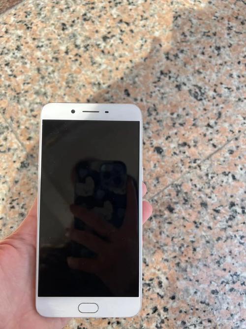 OPPO R9s Plus - 大屏拍照手机_百科资料-1
