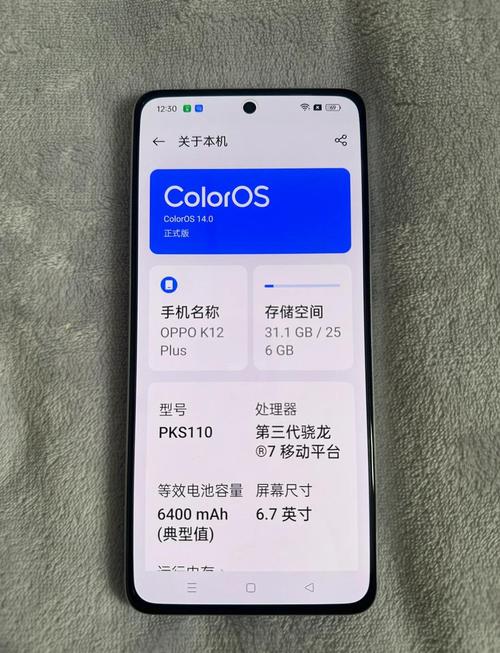 OPPO K12 Plus - 超长续航智能手机_百科资料-2