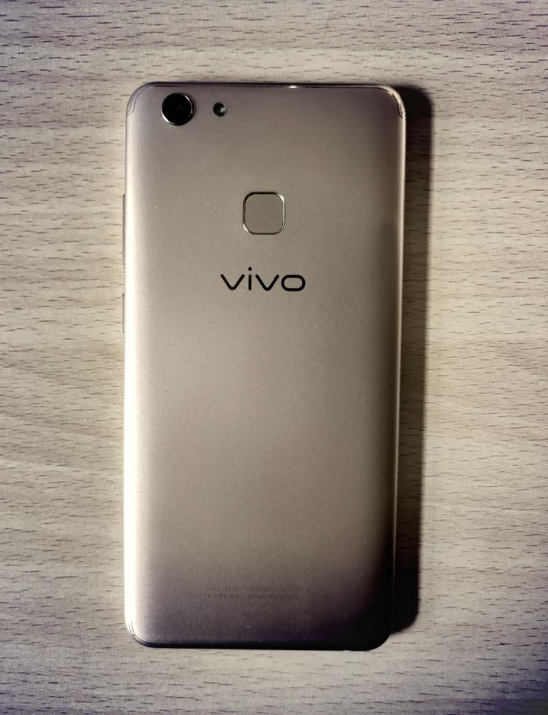 vivo Y99 - 超长续航智能手机_百科资料-3