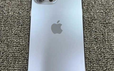 iPhone 13 Pro Max – 专业影像旗舰手机_百科资料