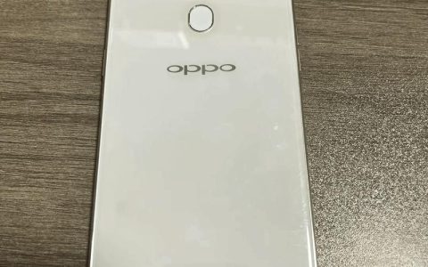 OPPO R15 – 超视野全面屏手机_百科资料