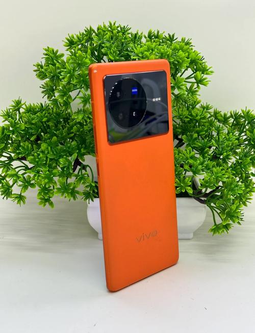 vivo X80 - 专业影像旗舰手机_百科资料-2