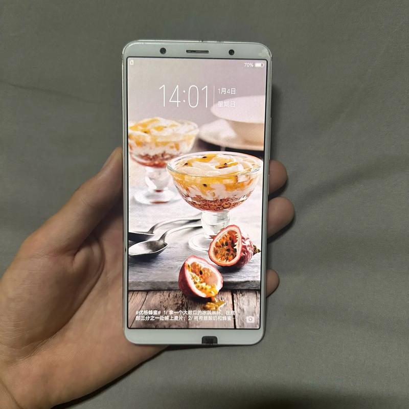 vivo X20 - 全面屏拍照手机_百科资料-5