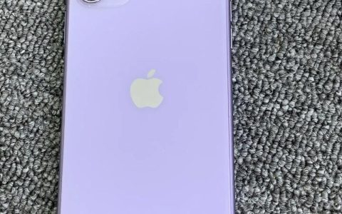 iPhone 11 – A13仿生旗舰智能手机_百科资料