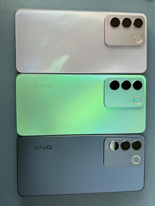 vivo S16e - 轻薄自拍手机_百科资料-2