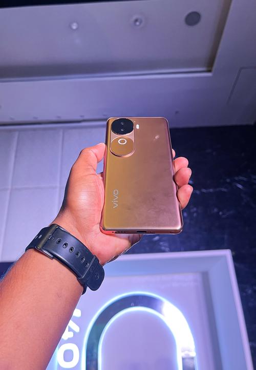 vivo V30e - 超清影像5G手机_百科资料-4