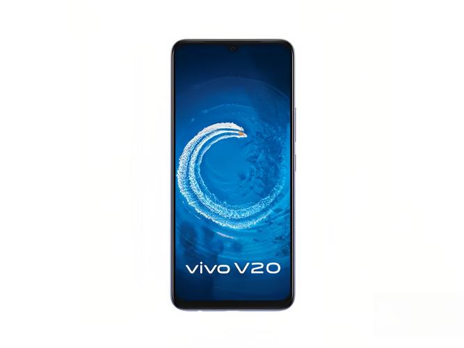 vivo V202021 - 高清拍照智能手机_百科资料-5