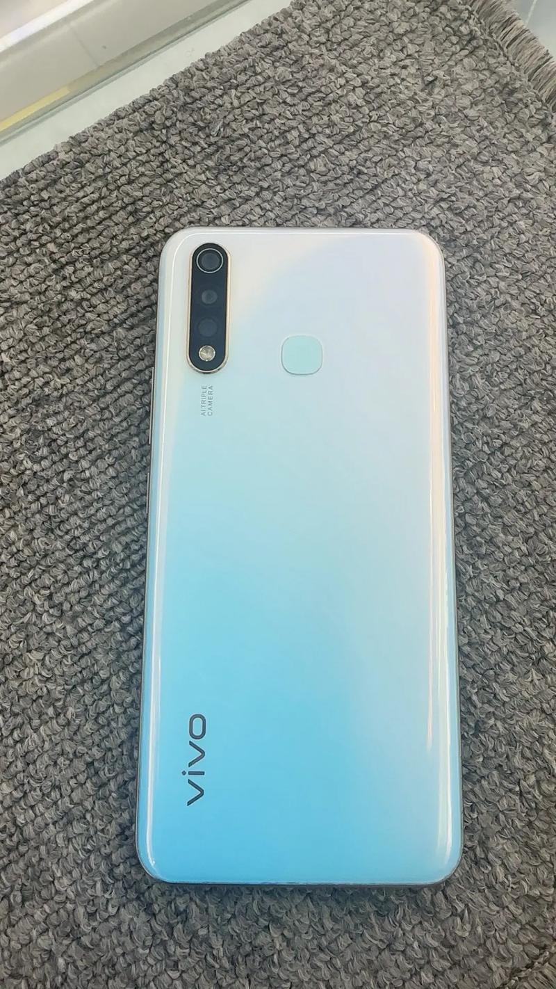 vivo Y5s - 长续航智能拍照手机_百科资料-2