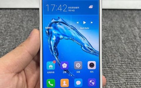 华为畅享 6S – 长续航入门智能手机_资料手册