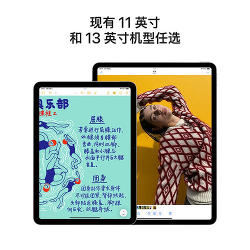 11英寸 iPad Air (M3) - 轻薄全面屏平板电脑_资料大全-5