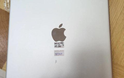 12.9 英寸 iPad Pro (第 2 代) – 高刷屏平板电脑_百科资料