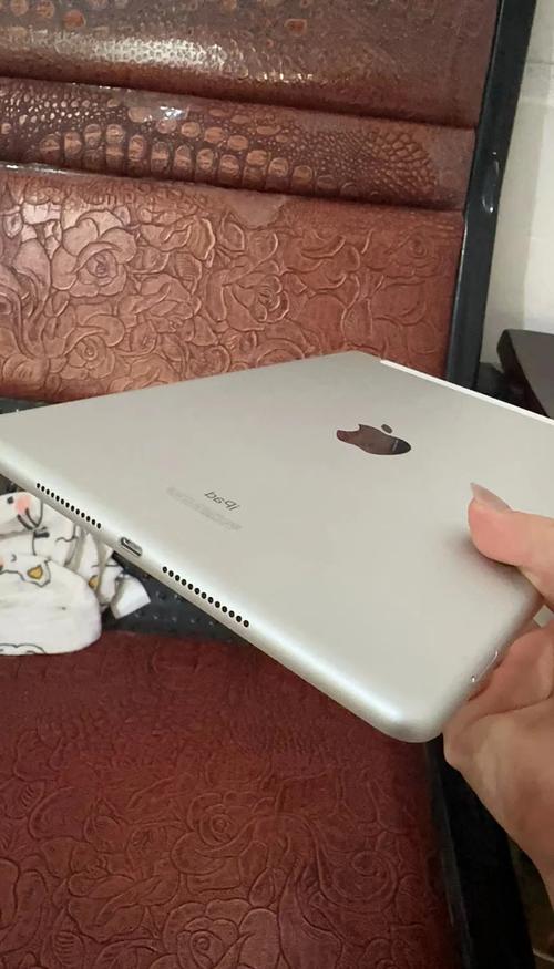 iPad (第 7 代) - 入门级平板电脑_资料集锦-2