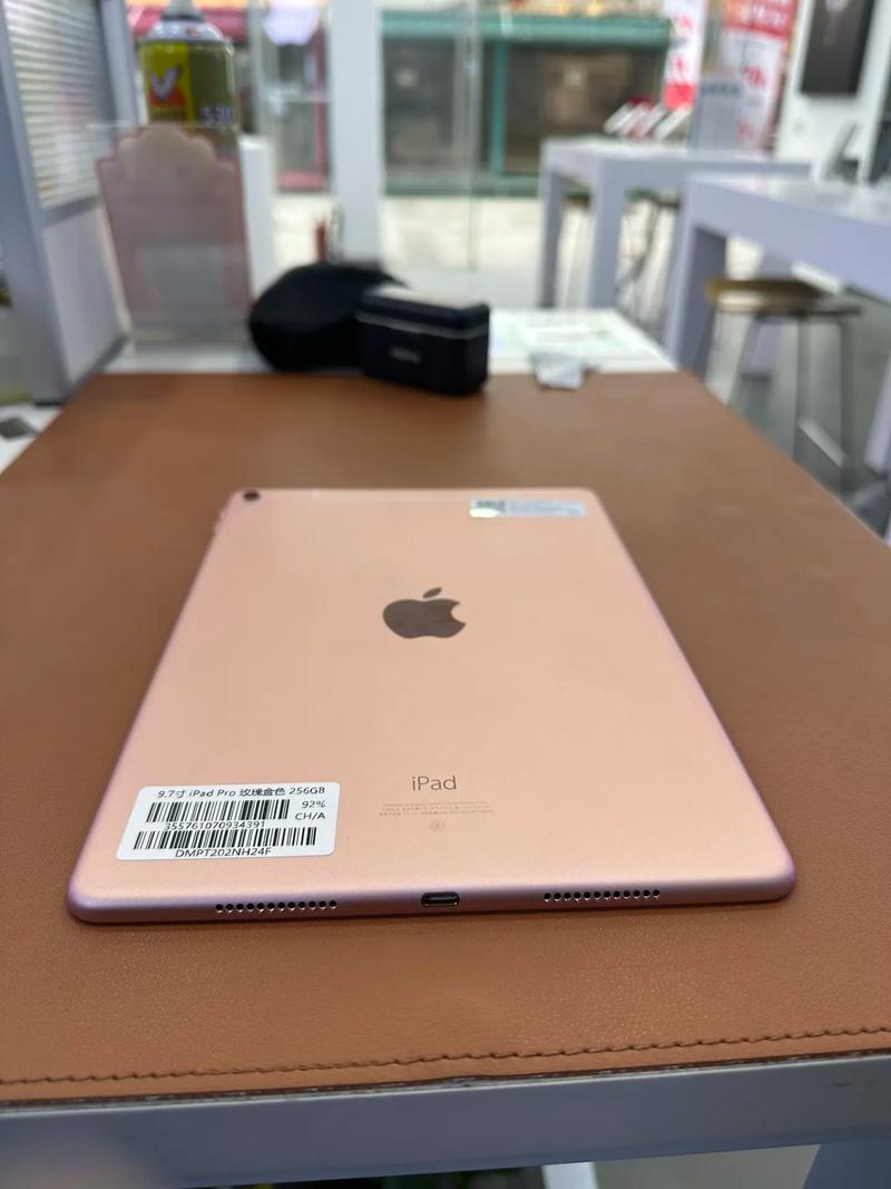 9.7 英寸 iPad Pro - 专业级平板电脑_资料手册-5