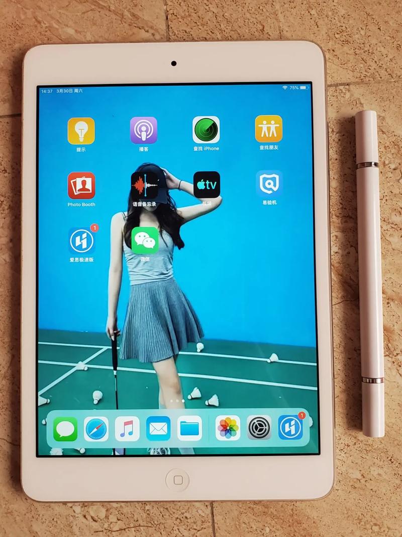 iPad mini 2 - 轻薄便携平板电脑_百科资料-5