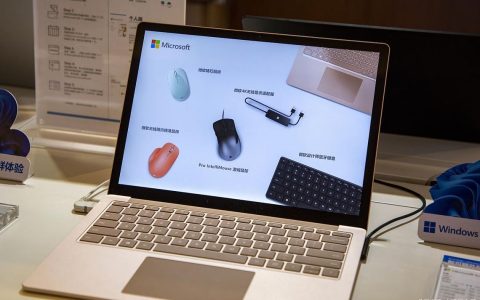 Microsoft Surface Pro 10 – 高效二合一笔记本_资料集锦