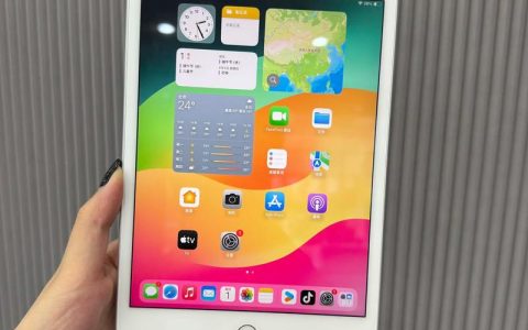 iPad mini (第 5 代) – 便携平板电脑_百科资料