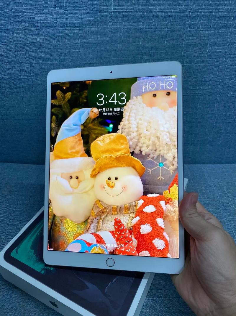 10.5 英寸 iPad Pro - 全面屏平板电脑_百科资料-5