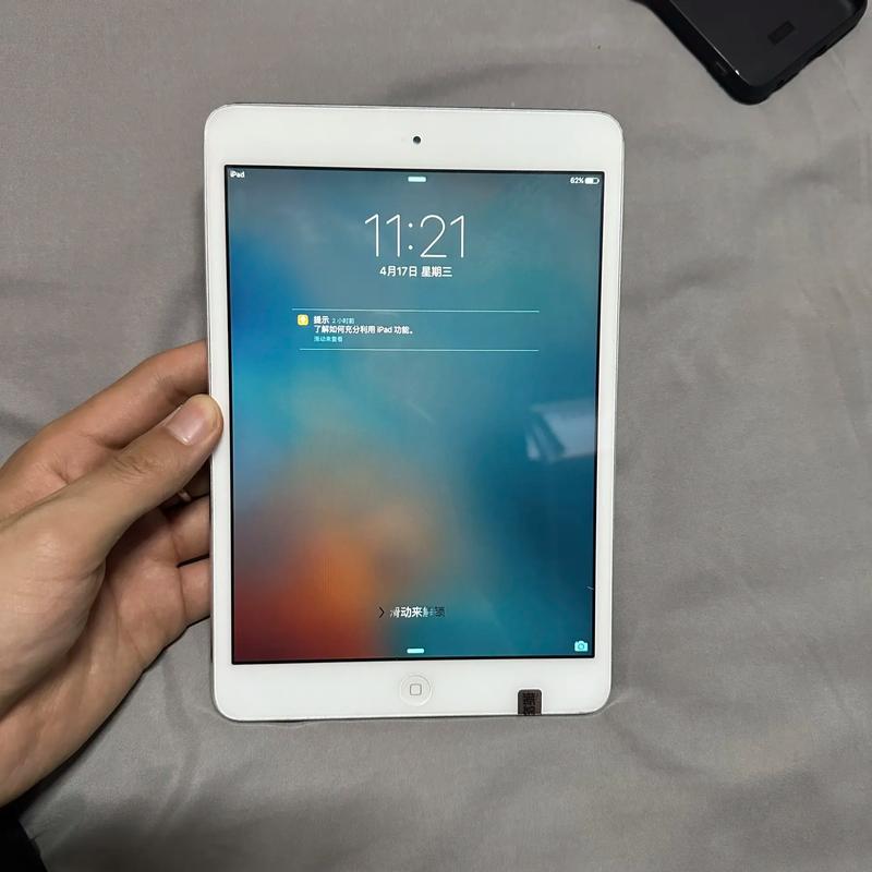 iPad mini - 便携小尺寸平板_百科资料-2